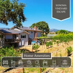 Sonoma Vineyard Escape
